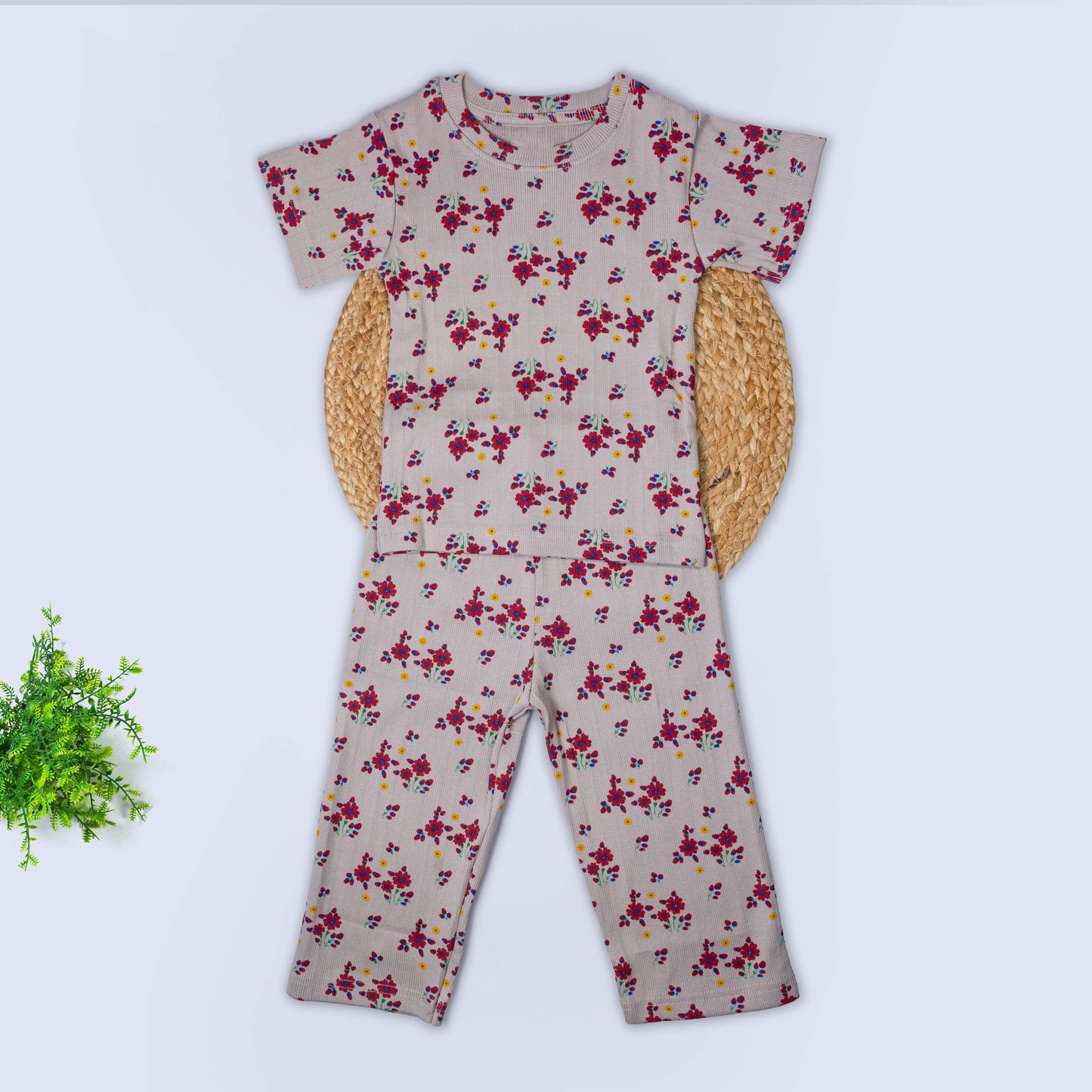 T-Shirt & Pant Set (2-3 years)