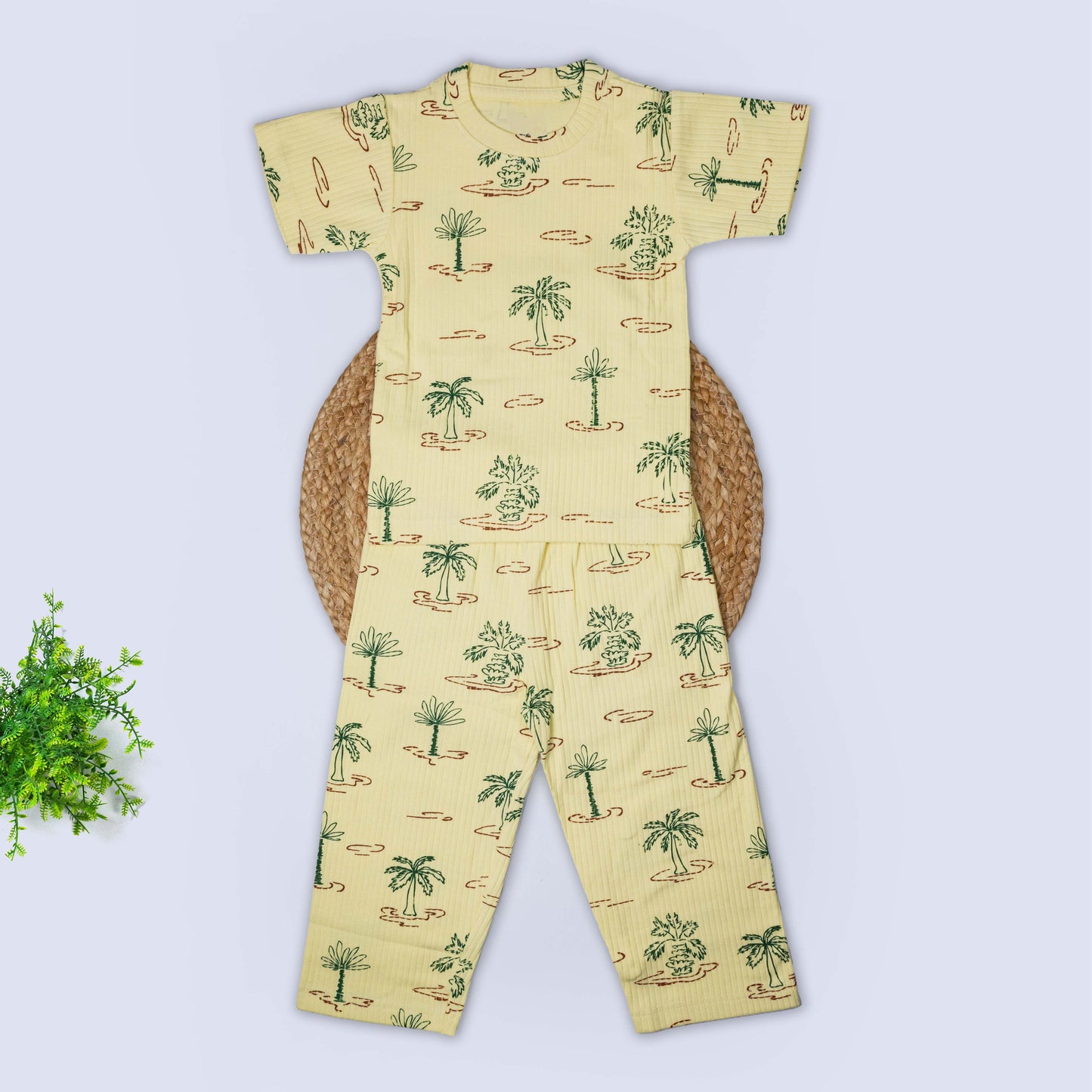T-Shirt & Pant Set (2-3 years)