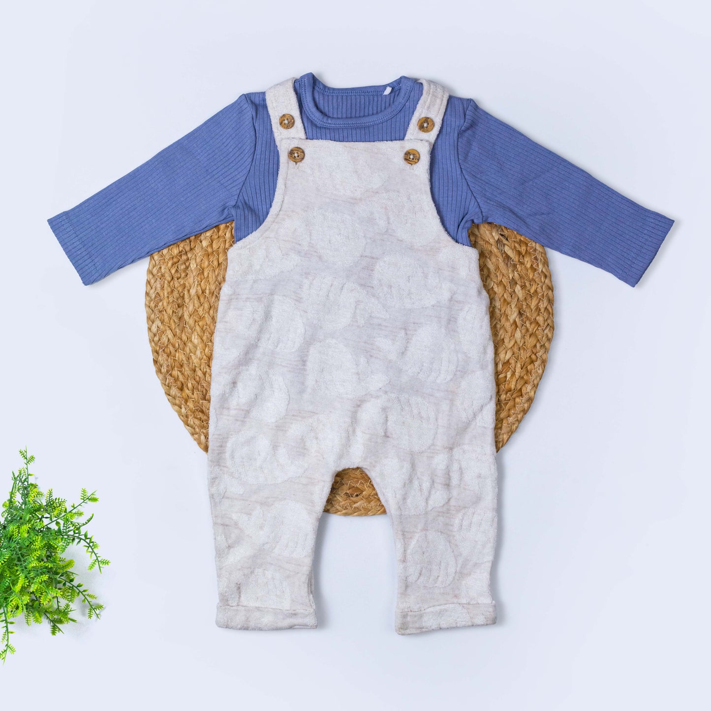 Dungree with T-shirt Set (3-6 months)