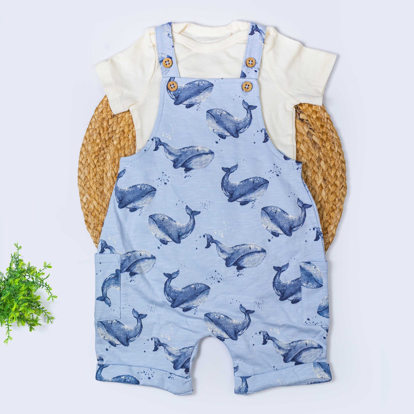 Dungree with T-shirt Set (9-12 months)
