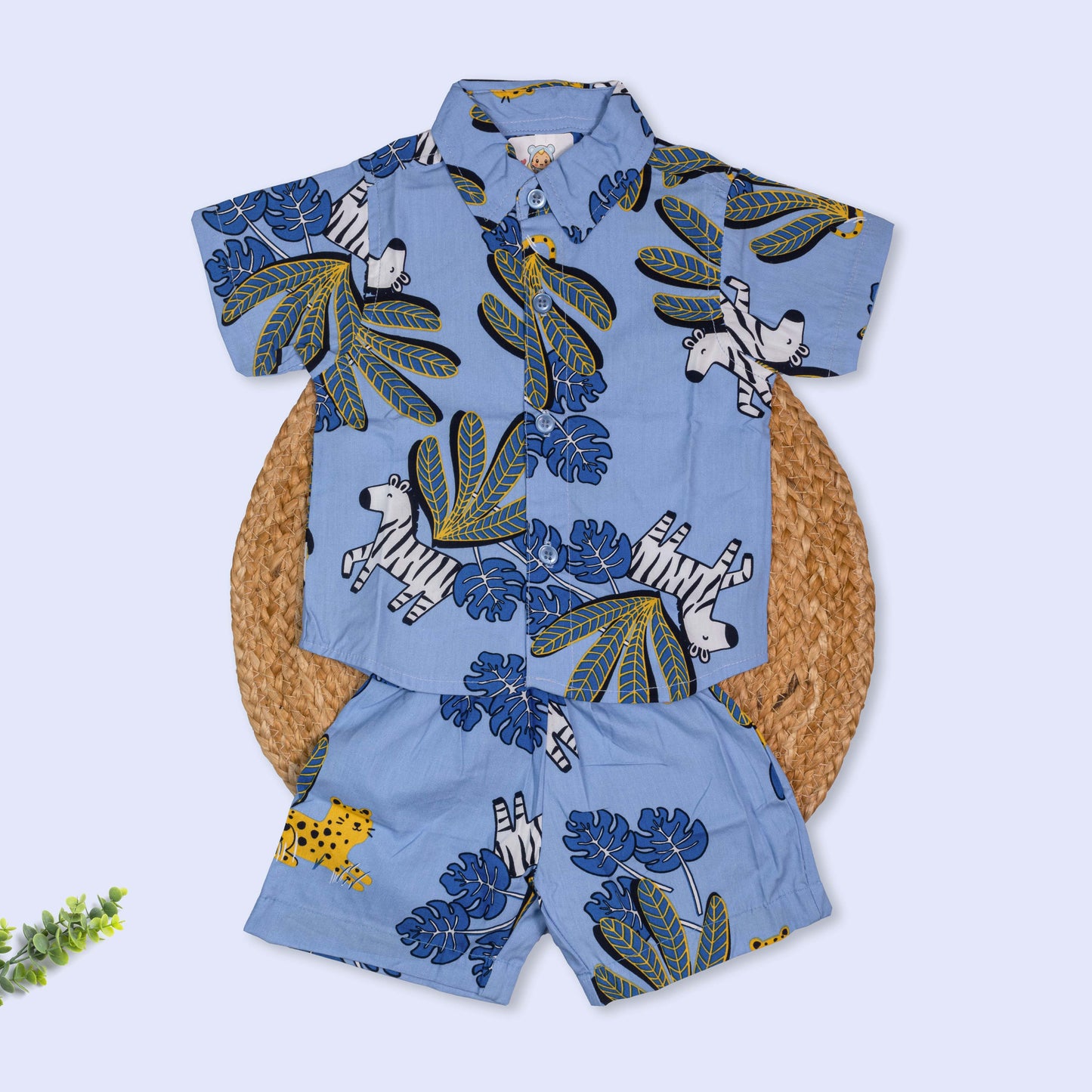 Cotton Co-Ord set (12-24 months)