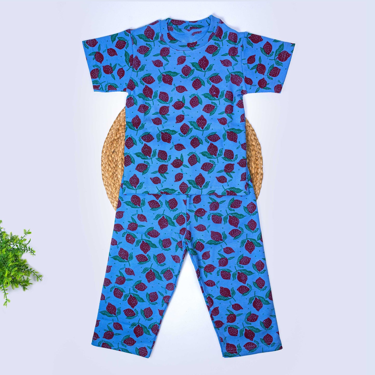 T-Shirt & Pant Set (3-4 years)
