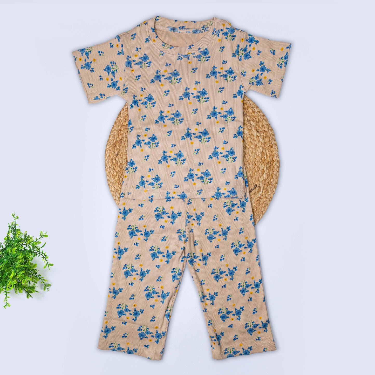 T-Shirt & Pant Set (2-3 years)