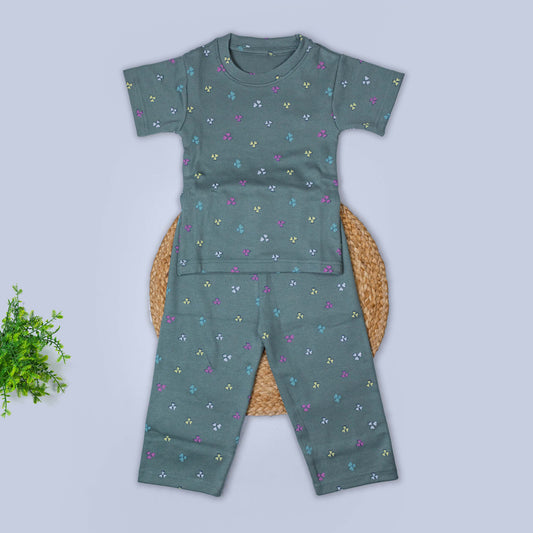 T-Shirt & Pant Set (2-3 years)