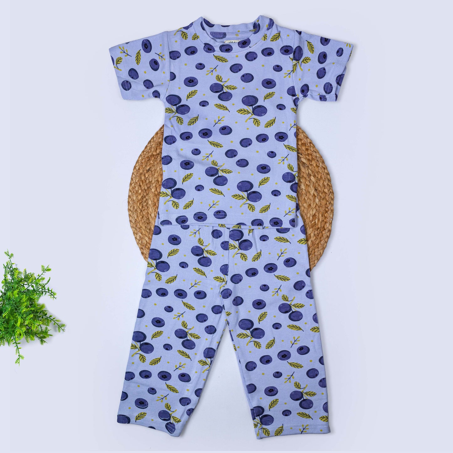 T-Shirt & Pant Set (2-3 years)