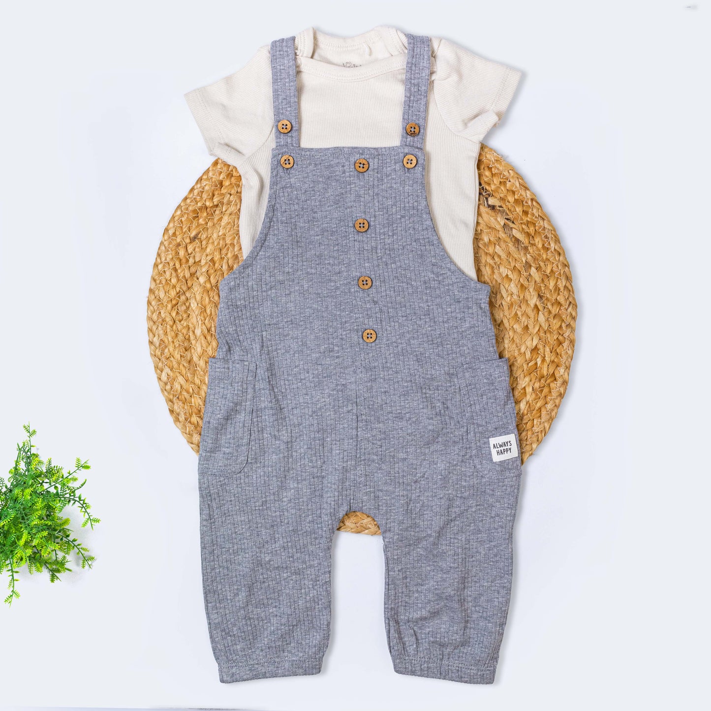Dungree with T-shirt Set (6-9 months)
