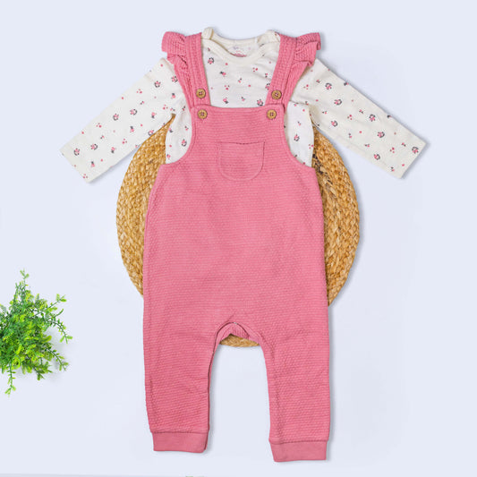 Dungree with T-shirt Set (9-12 months)