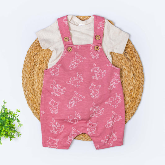 Dungree with T-shirt Set (3-6 months)